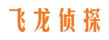 双桥侦探